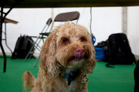 0876_2R3_5498_SM