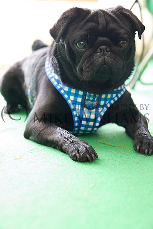 0876_2R3_5514_SM