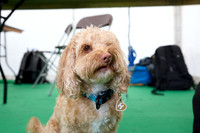 0876_2R3_5496_SM