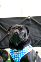0876_2R3_5474_SM