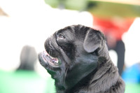0876_2R3_5500_SM