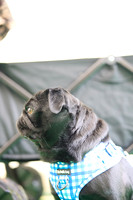 0876_2R3_5473_SM