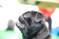 0876_2R3_5499_SM