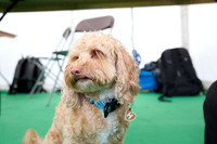 0876_2R3_5495_SM