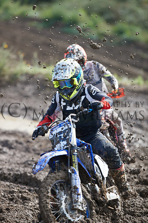 0772_DX2_6695_z