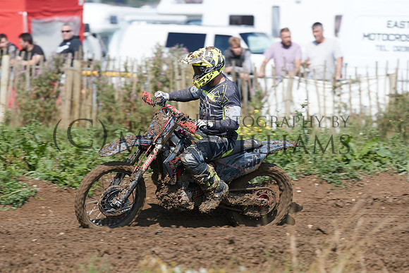 0772_DX2_6799_z
