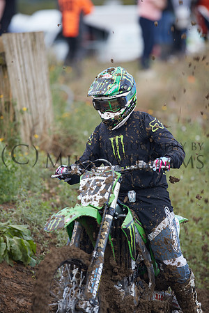 0772_DX2_6591_z