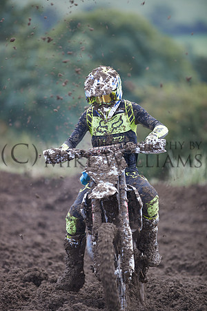 0772_DX2_6646_z