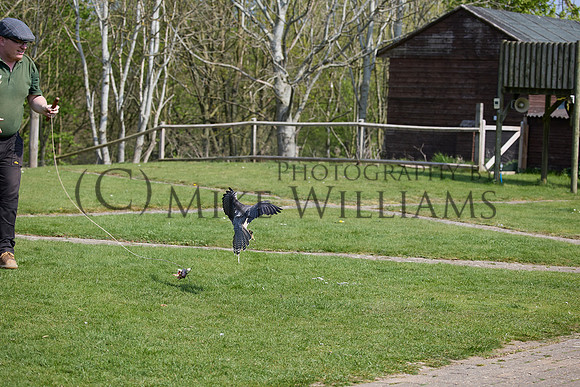 0804_R_3_0768_z