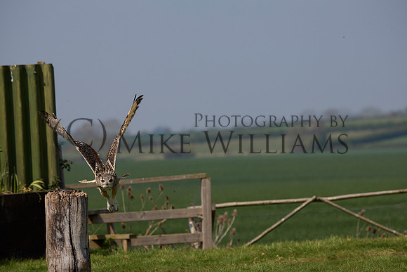 0804_R_3_0193_z
